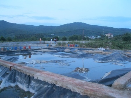 Phát hiện doanh nghiệp xả lén nước thải ra môi trường