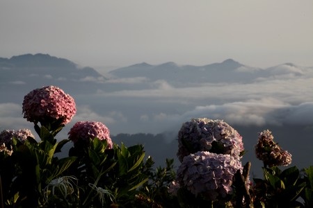 Ngắm Bà Nà trong buổi bình minh