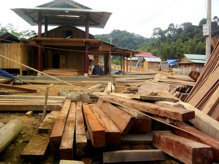 Phát triển thủy điện ồ ạt: Lợi ít, hại nhiều