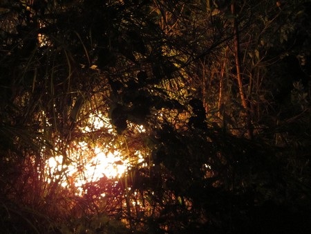 Lửa bùng phát từ một đám cháy nhỏ