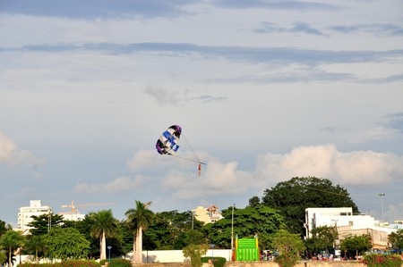 Bay lên trên các cao ốc