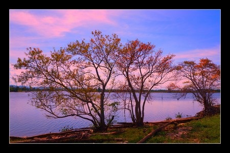 Một số tác phẩm đẹp tại triển lãm