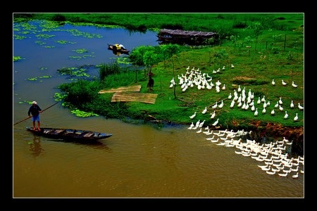 Một số tác phẩm đẹp tại triển lãm