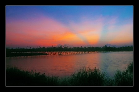 Một số tác phẩm đẹp tại triển lãm