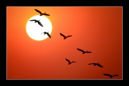 Một số tác phẩm đẹp tại triển lãm