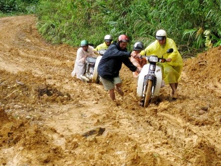 Quảng Nam xin hỗ trợ 1.500 tấn gạo trong mùa mưa bão