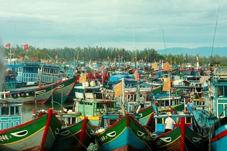 Ngư dân Quảng Ngãi đưa tàu cá vào cảng Sa Kỳ tránh thời tiết xấu