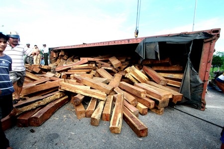 Hàng chục khối gỗ choáng hết đường lên cầu