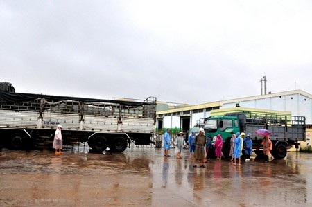 Giám đốc "biến mất" cùng khoản nợ chục tỉ, dân bao vây nhà máy - 2 Các chủ nợ dùng xe chặn trước cổng nhà máy cồn để đòi nợ