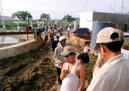 Cử tri Đà Nẵng gởi gắm nhiều ý kiến bức xúc đến các đại biểu HĐND chất vấn các thành viên UBND