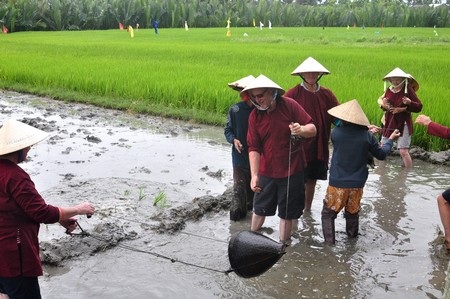 Đến Hội An xem Tây xắn quần... đi cấy - 5 Đến Hội An xem Tây xắn quần... đi cấy