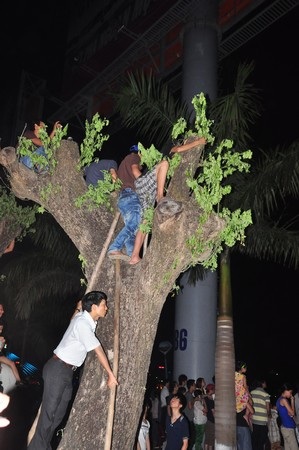Đủ kiểu thưởng thức pháo hoa “độc” - 11 Đủ kiểu thưởng thức pháo hoa “độc” - 11