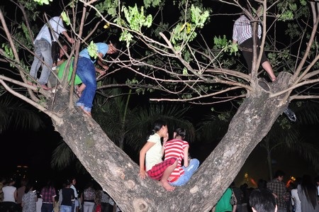 Đủ kiểu thưởng thức pháo hoa “độc” - 5 Đủ kiểu thưởng thức pháo hoa “độc” - 5
