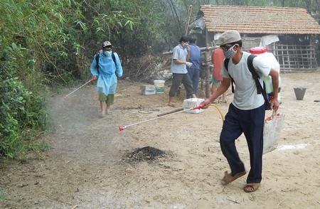 Quảng Nam công bố dịch cúm gia cầm - 1