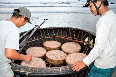 Ngư dân trúng đậm mùa ruốc - 2 Từ mờ sáng, không khí mua bán ruốc trên biển đã tấp nập
