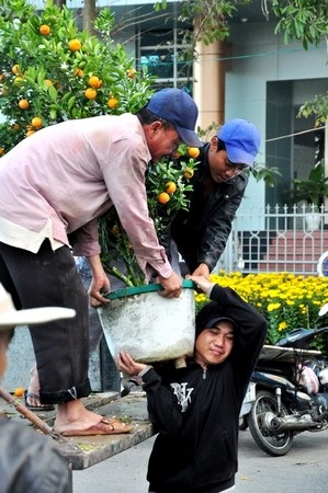 Lực lượng cửu vạn ở chợ hoa Đà Nẵng cũng nặng nhọc không kém