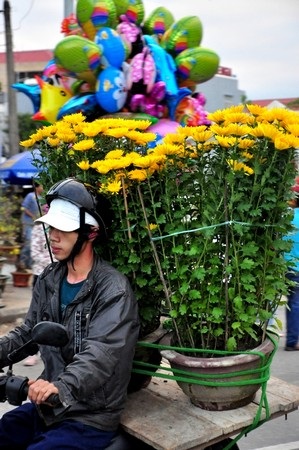 Nhiều người tranh thủ mua những chậu hoa rẻ nhất về chơi Tết