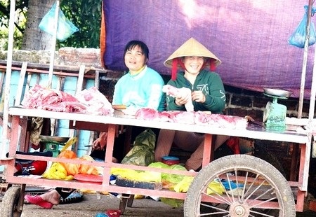 Quảng Nam công bố hết dịch heo tai xanh