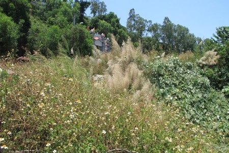 Nơi tên Mỹ định giết hại cháu Mắm