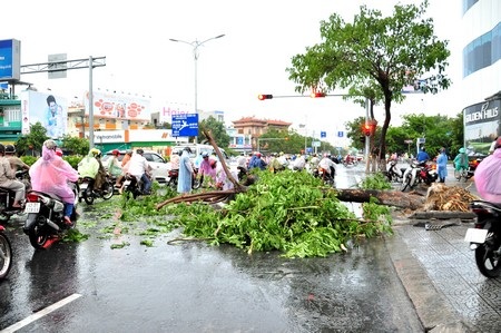 Cây xanh đổ trên đường Nguyễn Văn Linh.