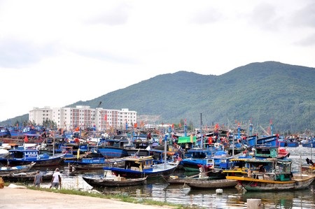 Tàu cá của ngư dân các tỉnh vào âu thuyền Thọ Quang (quận Sơn Trà, Đà Nẵng) tránh gió