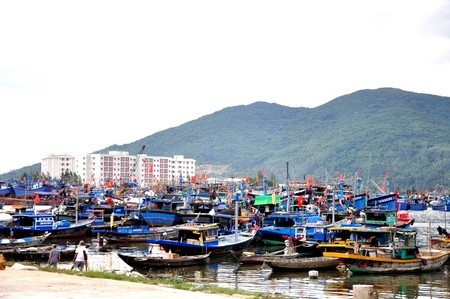 Tàu cá của ngư dân các tỉnh miền Trung và âu thuyền Thọ Quang, Đà Nẵng tránh bão và ATNĐ
