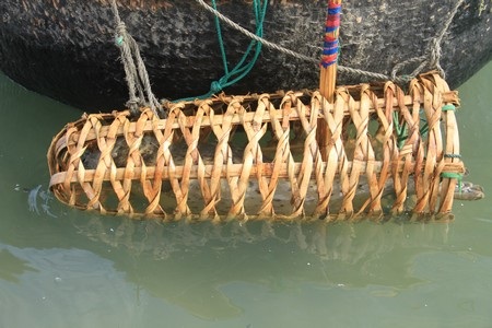 Con hải cẩu được nhốt trong rọ thả dưới nước để đảm bảo sức khỏe