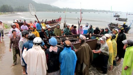 Ngư dân Đà Nẵng giúp nhau đưa tàu lên bờ tránh bão