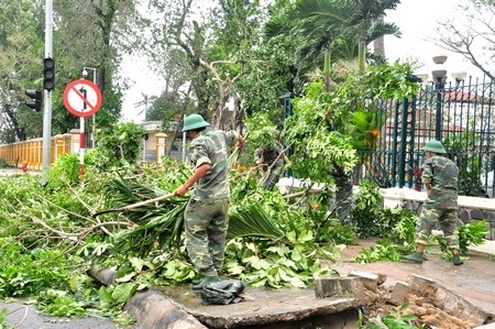 Giúp trường học tháo dỡ mái tôn bị sập tại trường tiểu học Hoàng Văn Thụ (quận Hải Châu).