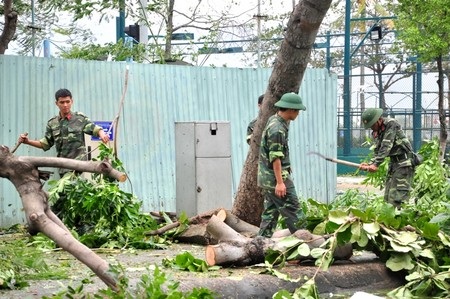 Lực lượng bộ đỗi cũng đã được huy động để dọn cây xanh gãy đổ