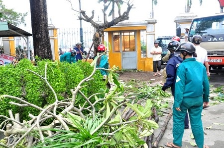 Phải mất 3-4 ngày công nhân mới dọn sạch được đường phố