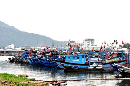 Nhiều tàu cá của ngư dân các tỉnh, thành vào trú bão tại âu thuyền Thọ Quang, Đà Nẵng