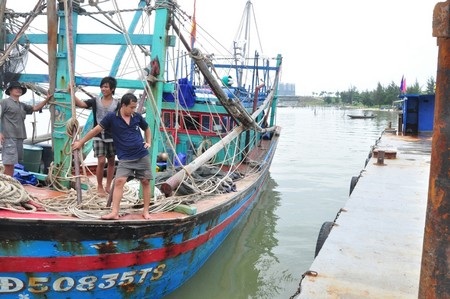Tàu cá Bình Định vào âu thuyền Thọ Quang (Đà Nẵng) trú bão