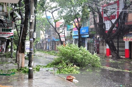 Cảnh tan hoang trên đường Trưng Nữ Vương