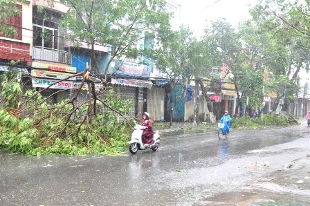 Cảnh tan hoang trên đường Trưng Nữ Vương