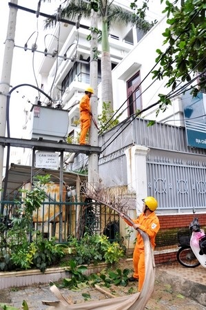 Ngay sau khi bão tan, công nhân điện lực đã tiến hành khôi phục lưới điện