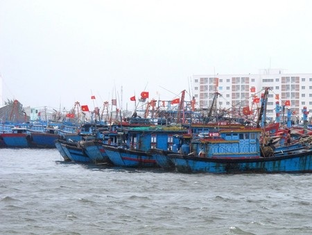 Tàu cá ngư dân đã vào hết âu thuyền Thọ Quang trú bão