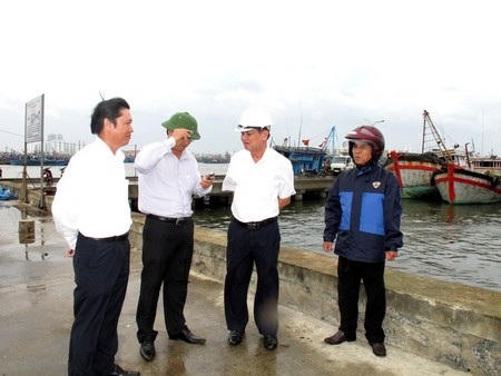 Bí thư Đà Nẵng “thắc mắc” vì sao 95% cây xanh đổ trong bão