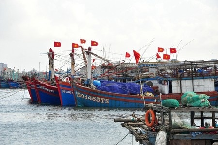 Tàu cá các tỉnh vào trú bão an toàn ở âu thuyền Thọ Quang (quận Sơn Trà, Đà Nẵng)