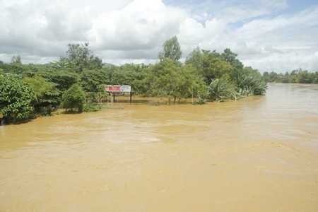 Vùng hạ du Quảng