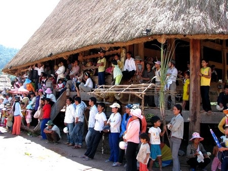 Đồng bào Cơtu tập trung về Gươl xem lễ đâm trâu mừng lúa mới