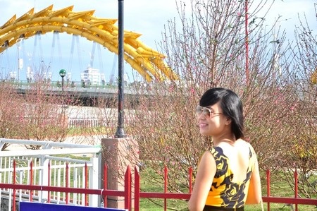 Nhiều bạn trẻ đến đường hoa để chụp hình lưu niệm với hoa Xuân