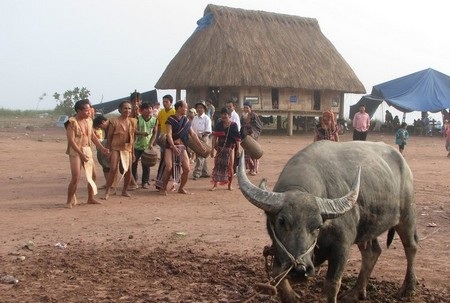 Chiêm ngưỡng trang phục độc đáo bằng vỏ cây của người Cơ tu - 8 Đồng bào Cơ tu thường mặt bộ đồ bằng vỏ cây trong những dịp lễ hội của dân tộc mình