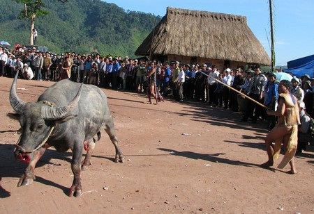Chiêm ngưỡng trang phục độc đáo bằng vỏ cây của người Cơ tu - 9 Đồng bào Cơ tu thường mặt bộ đồ bằng vỏ cây trong những dịp lễ hội của dân tộc mình