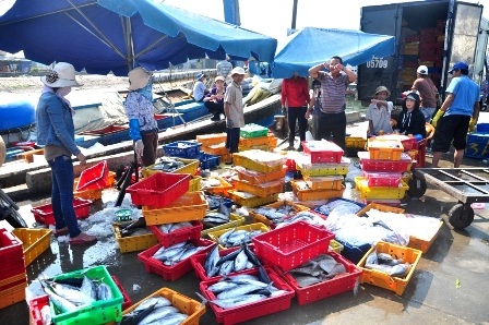 Cá dưới hầm được đưa lên cầu cảng bán cho thương lái