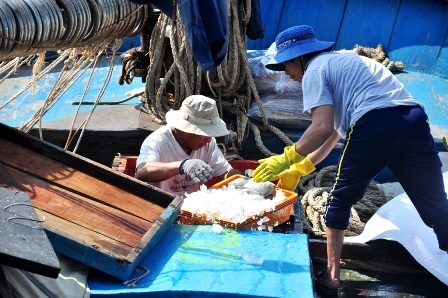 Cá dưới hầm được đưa lên cầu cảng bán cho thương lái