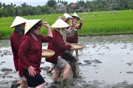 Khách Tây thích thú với tour “đi cày đi cấy” ở Hội An - 11 Sạ lúa