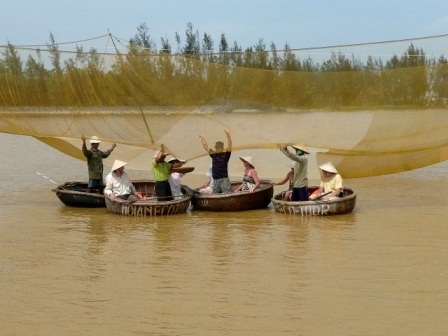 Sau khi kéo rớ lên là công việc thu hoạch cá