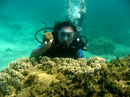 Lặn biển ngắm san hô ở bán đảo Sơn Trà