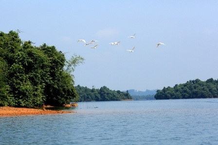 Hoàng hôn trên hồ Phú Ninh
